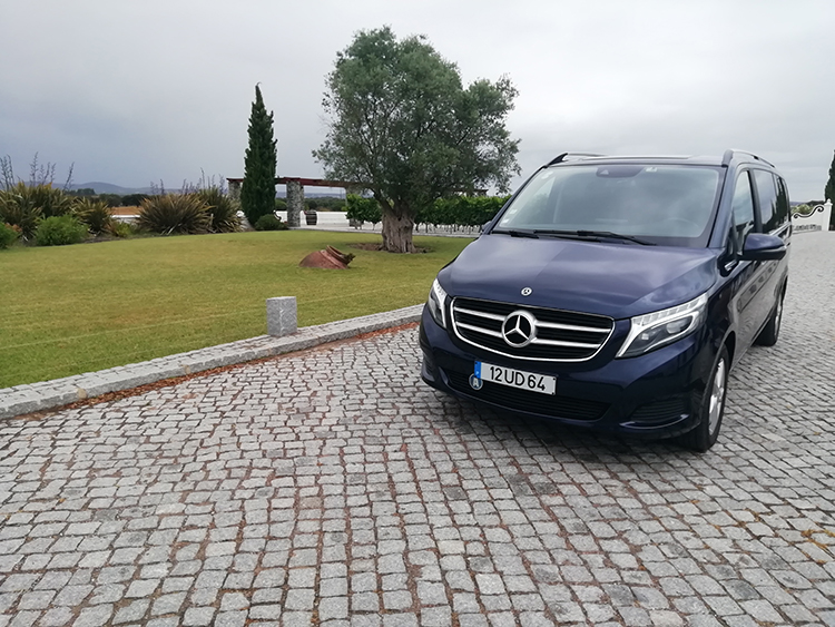 Mercedes-V-250-CDI1a