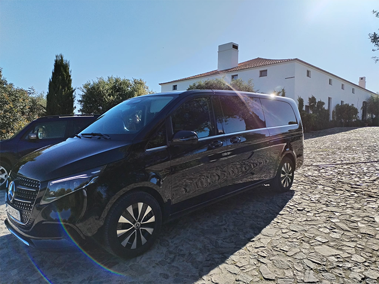 Mercedes-V-250-longo-avantgard3